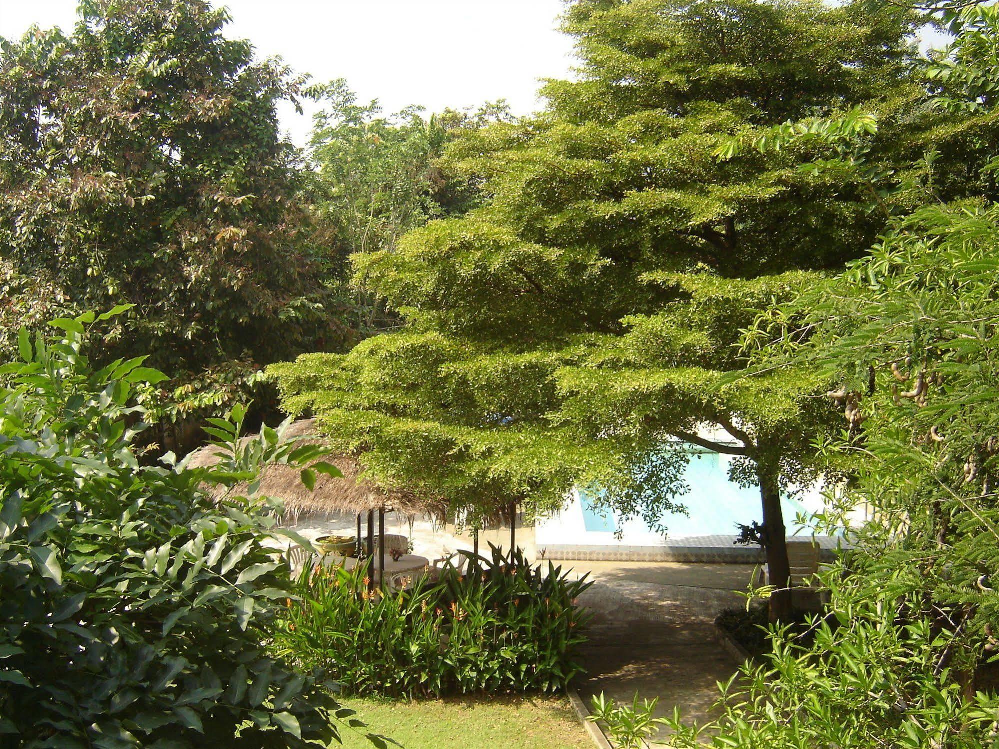 Golden Cupids Hotel Chiang Mai Exterior photo